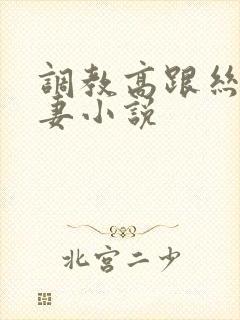 调教高跟丝袜人妻小说