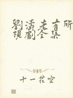 刘涛老有所依电视剧全集