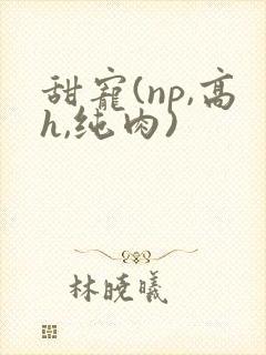 甜宠(np,高h,纯肉)