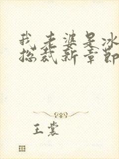 我老婆是冰山女总裁新章节沈浪