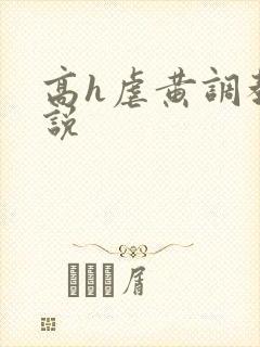 高h虐黄调教小说