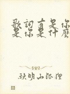 歌词有是你是你是你是什么歌