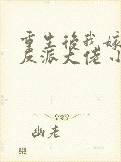 重生后我嫁给了反派大佬 小说