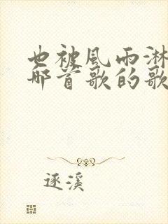 也被风雨淋过是哪首歌的歌词