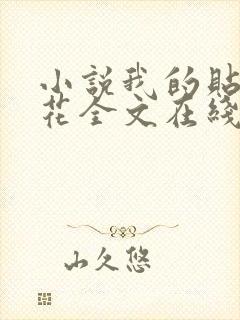 小说我的贴身校花全文在线阅读