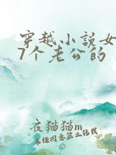 穿越小说女主有7个老公的