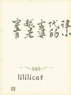 穿越古代很穷但有老婆的小说