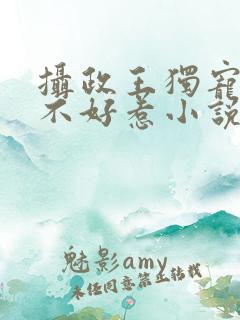 摄政王独宠医妃不好惹小说