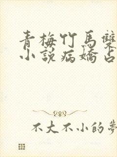 青梅竹马双男主小说病娇占有欲强