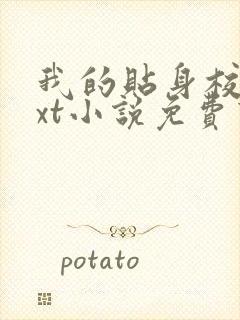 我的贴身校花txt小说免费下载