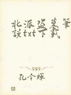 北派盗墓笔记小说txt下载