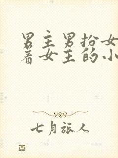 男主男扮女装缠着女主的小说