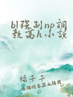 bl强制np调教高h小说