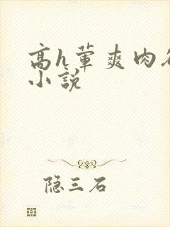 高h荤爽肉欲文小说