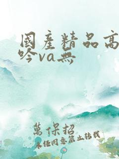 国产精品高潮呻吟va无