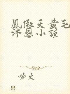 凤傲天黄毛反派沐恩小说