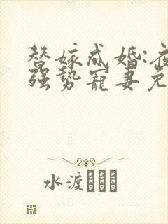 替嫁成婚:夜少强势宠妻免费阅读