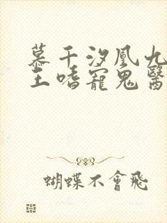 慕千汐凰九夜邪王嗜宠鬼医狂妃免费阅读