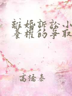 离婚诉讼小孩抚养权的争取