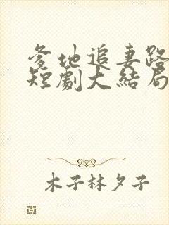 爹地追妻路漫漫短剧大结局