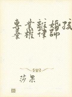 专业离婚孩子抚养权律师