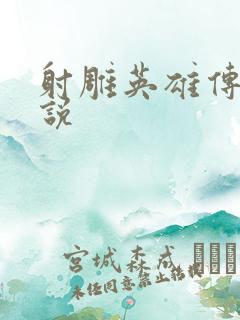 射雕英雄传 小说