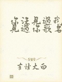 你没见过我我没见过你歌名