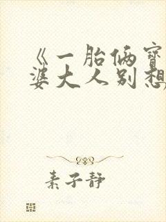 《一胎俩宝:老婆大人别想逃》