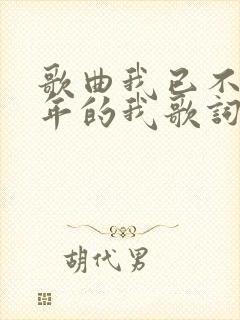 歌曲我已不是当年的我歌词