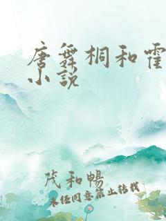 唐舞桐和霍雨浩小说