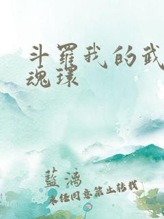 斗罗我的武魂是魂环