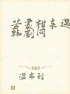 苦尽柑来遇见你韩剧网