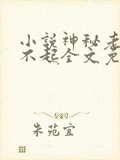 小说神秘老公惹不起全文免费阅读