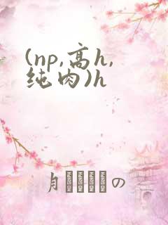 (np,高h,纯肉)h