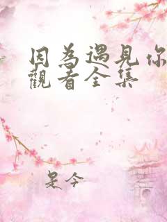 因为遇见你免费观看全集