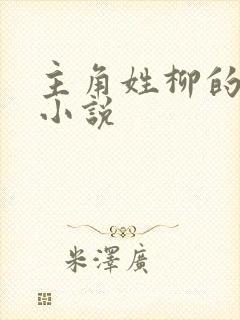 主角姓柳的玄幻小说