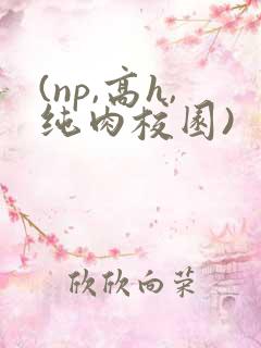 (np,高h,纯肉校园)