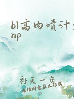 bl高肉喷汁文np