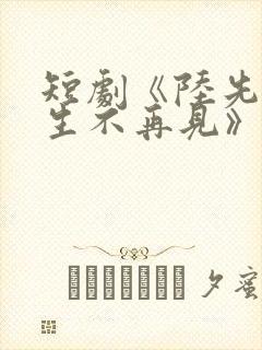 短剧《陆先生余生不再见》