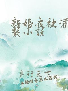 新婚夜被灌醉强系小说