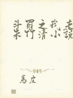 斗罗之我老婆是朱竹清小说