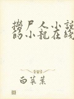 捞尸人小说纯洁的小龙在线阅读免费