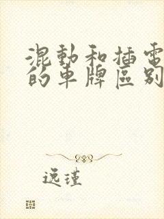 混动和插电混动的车牌区别