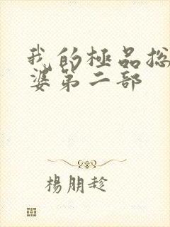 我的极品总裁老婆第二部