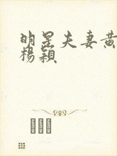 明星夫妻黄晓明杨颖