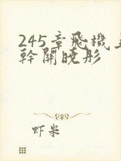 245章飞机上干关晓彤