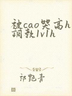 被cao哭高h调教1v1h