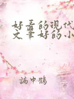 好看的现代言情文笔好的小说