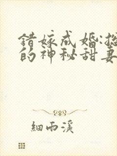 错嫁成婚:总裁的神秘甜妻