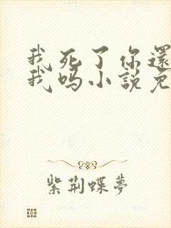 我死了你还会恨我吗小说免费阅读